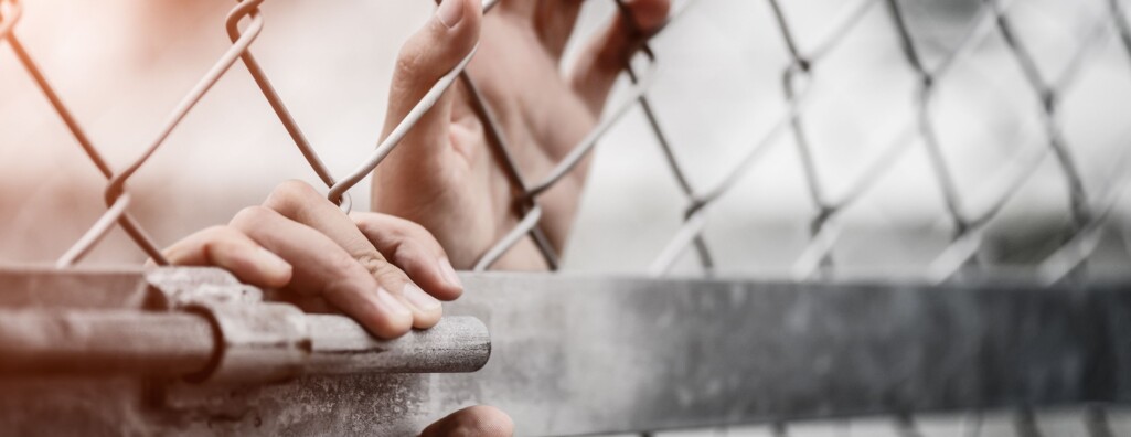 hands reaching through a metal fence